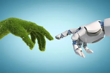 Inteligencia artificial en el medioambiente