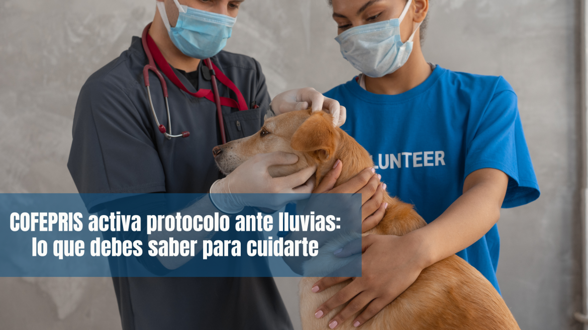 Neurología veterinaria: lo que ellos no dicen, pero sienten