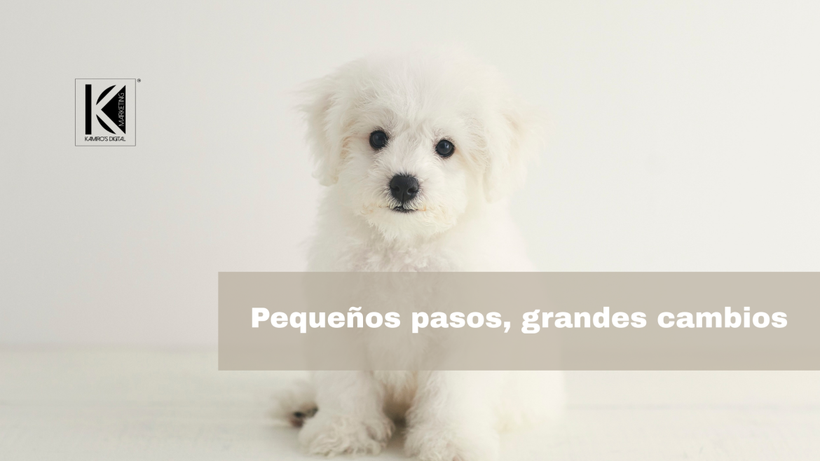 Los secretos de la socialización temprana en cachorros sin salir de casa