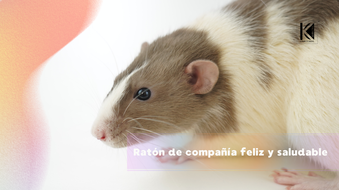 Ratones como mascotas: cuidados, alimentación y lo que debes saber antes de adoptarlos