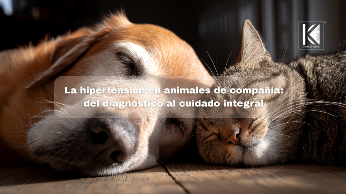 Hipertensión sistémica en perros y gatos: causas, riesgos y tratamientos
