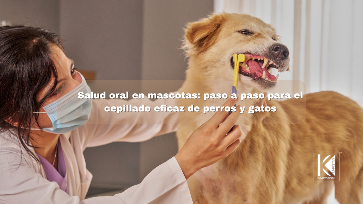 Cuidado dental preventivo en perros y gatos: estrategias efectivas